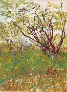 Vincent Van Gogh Cherry Tree Spain oil painting artist
